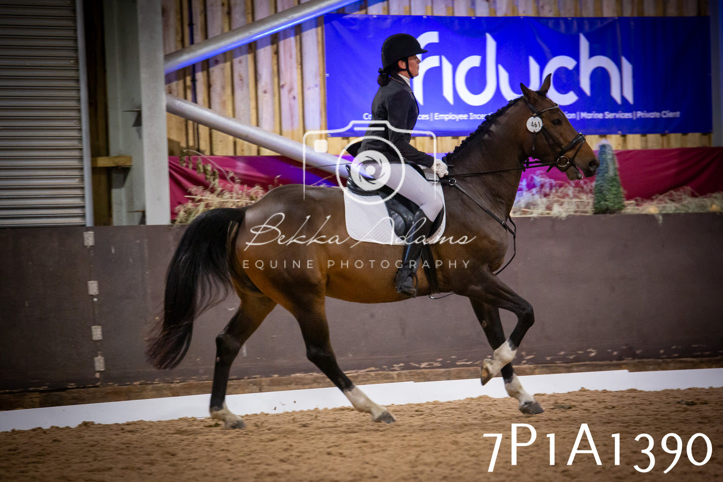 JHOYS 2025 - Dressage - 14th September pt2