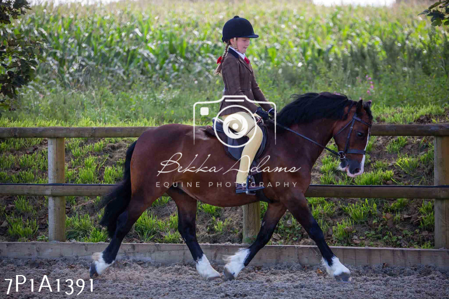 Home Farm Annual Show -Ridden Showing 20th August 2023