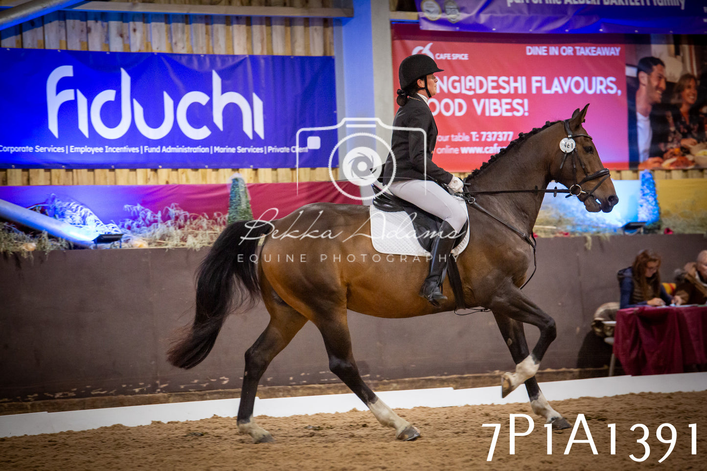 JHOYS 2025 - Dressage - 14th September pt2