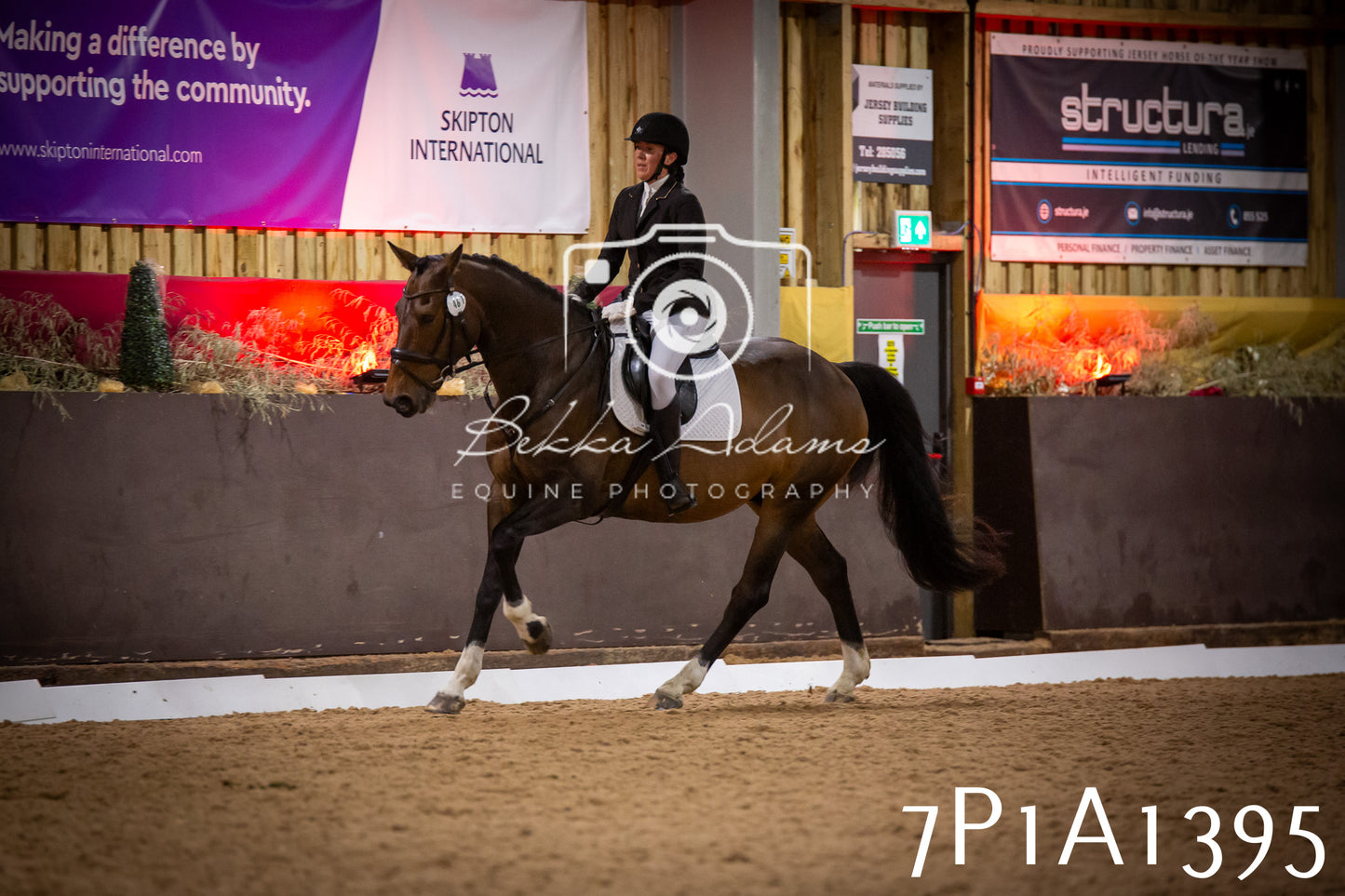 JHOYS 2025 - Dressage - 14th September pt2