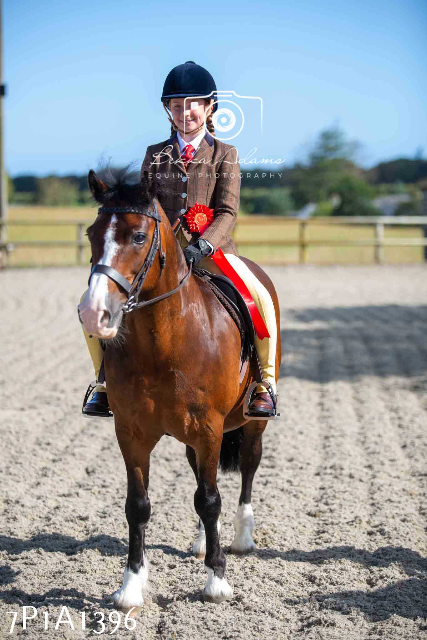 Home Farm Annual Show -Ridden Showing 20th August 2023