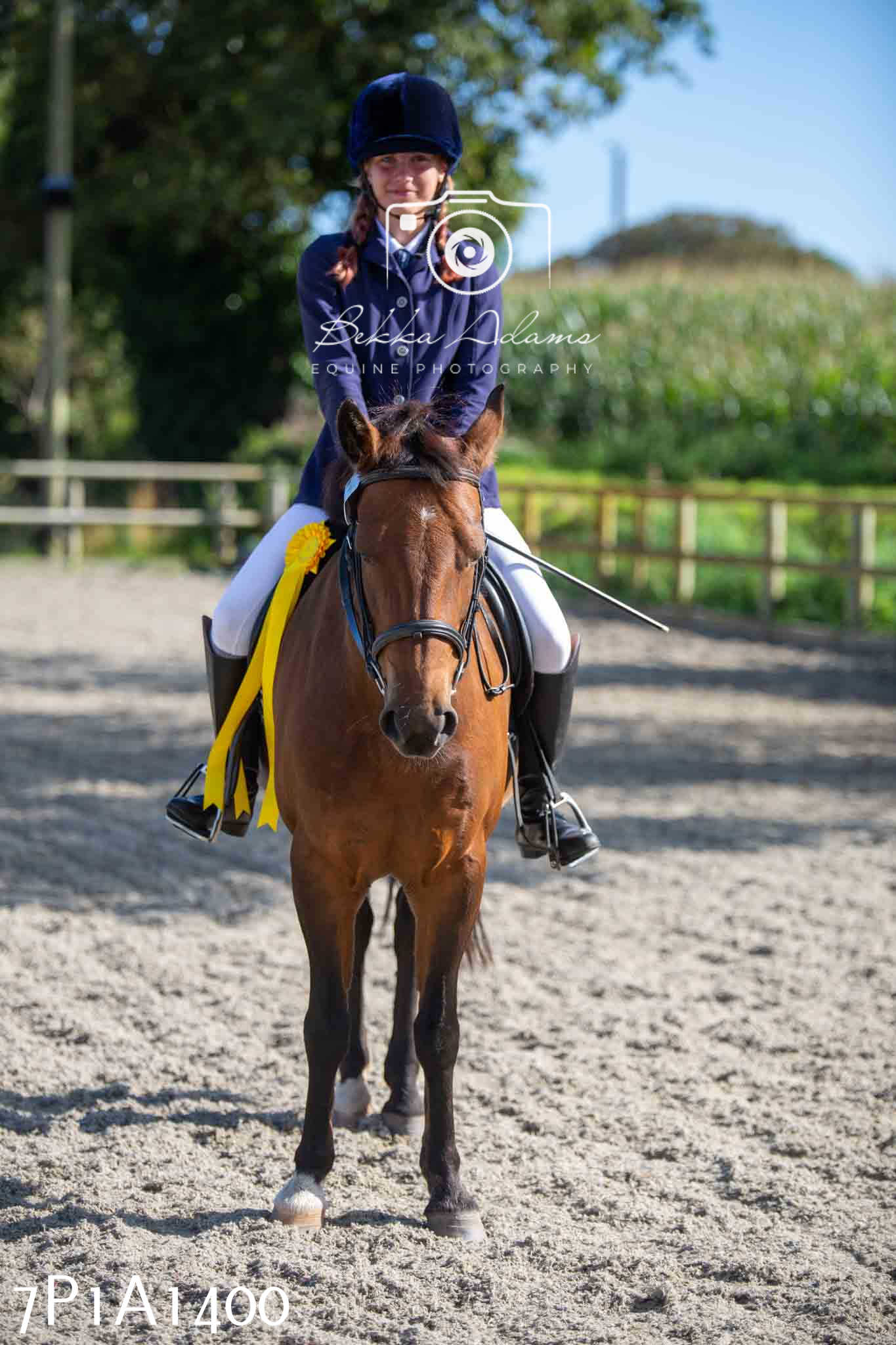 Home Farm Annual Show -Ridden Showing 20th August 2023