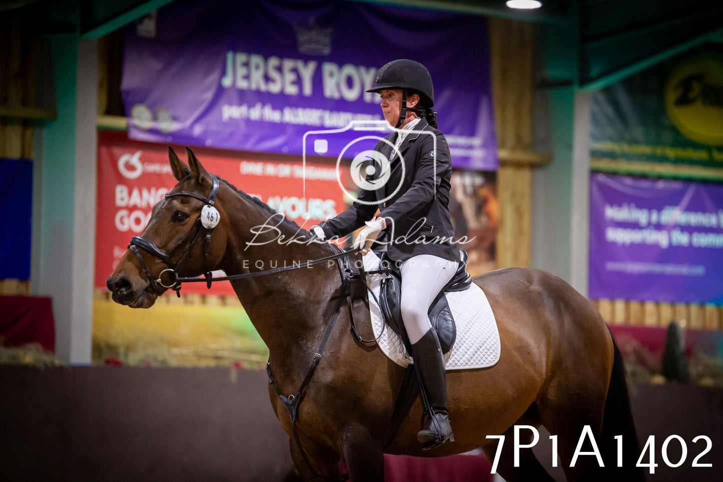 JHOYS 2025 - Dressage - 14th September pt2