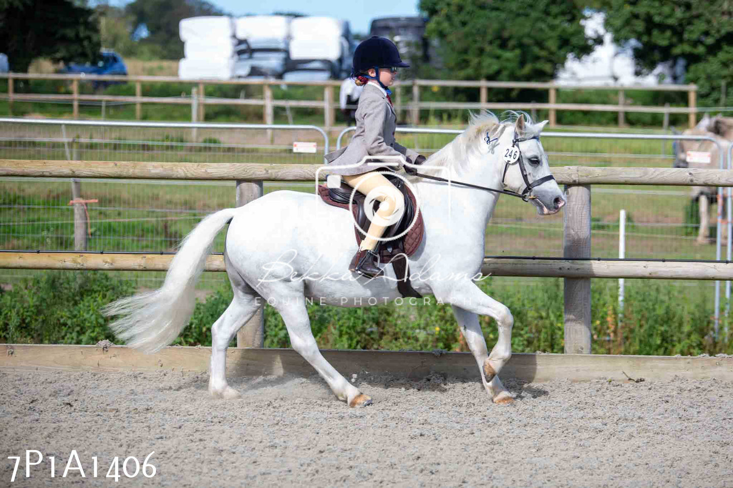 Home Farm Annual Show -Ridden Showing 20th August 2023