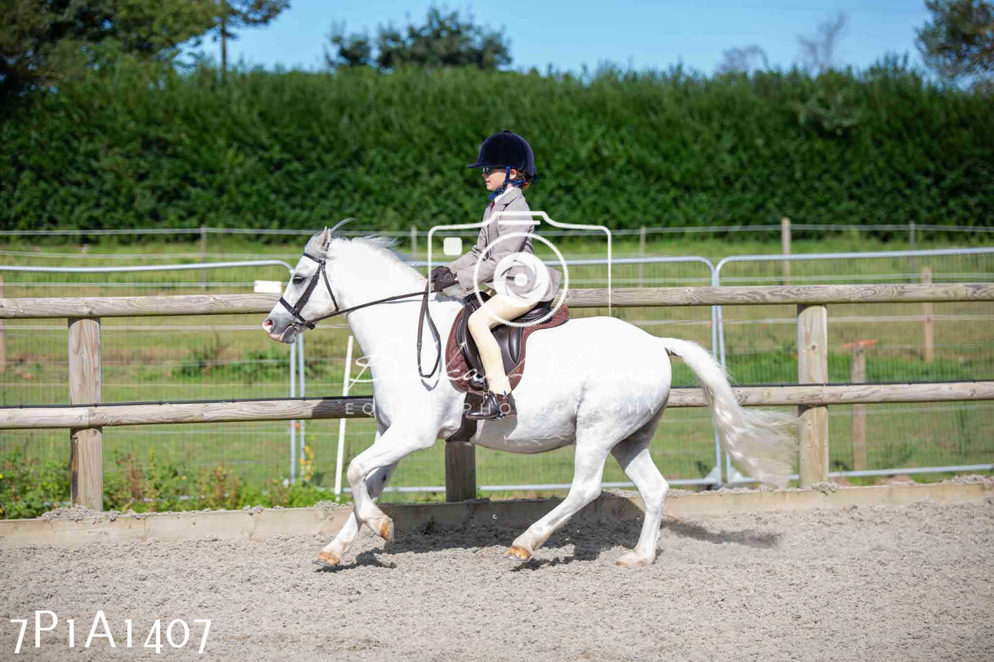 Home Farm Annual Show -Ridden Showing 20th August 2023