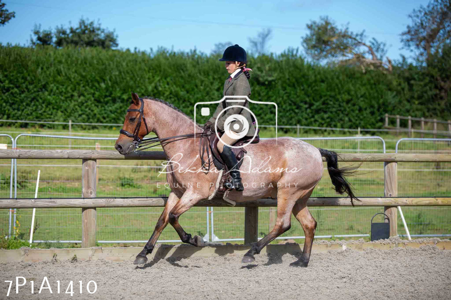 Home Farm Annual Show -Ridden Showing 20th August 2023