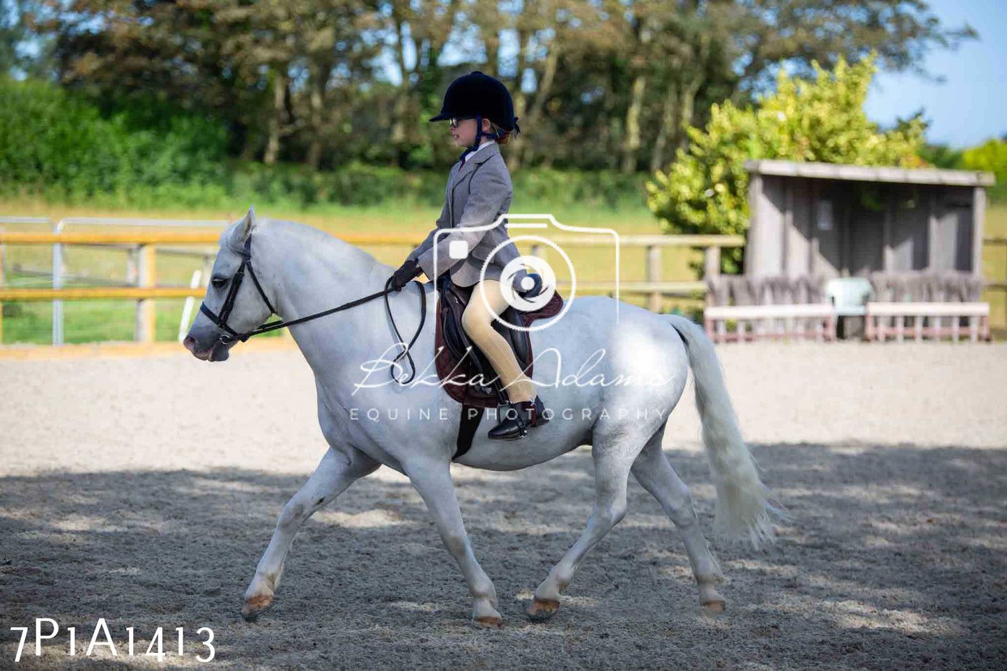 Home Farm Annual Show -Ridden Showing 20th August 2023