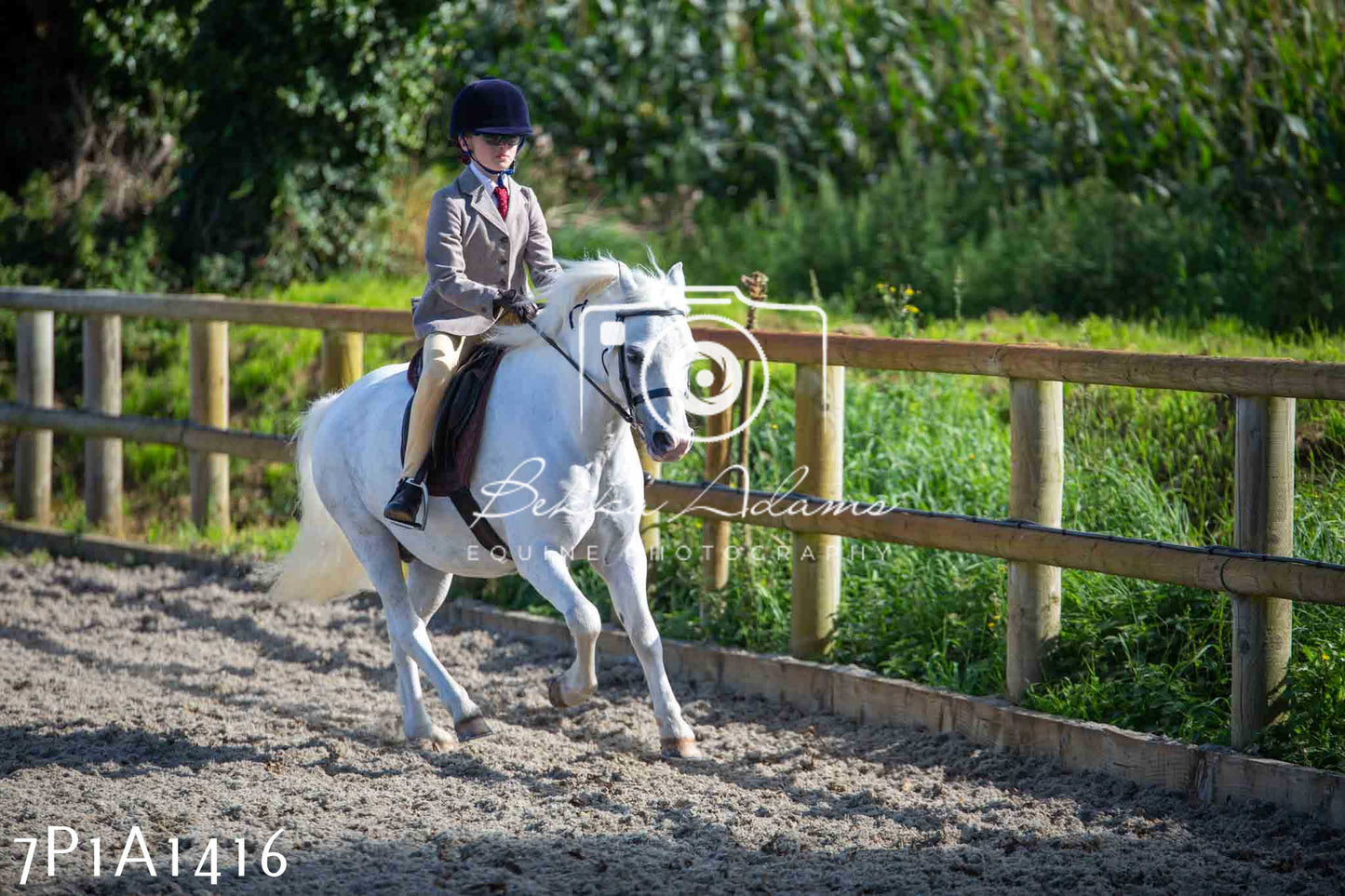 Home Farm Annual Show -Ridden Showing 20th August 2023