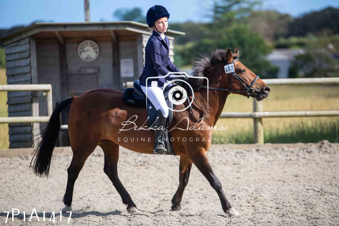 Home Farm Annual Show -Ridden Showing 20th August 2023