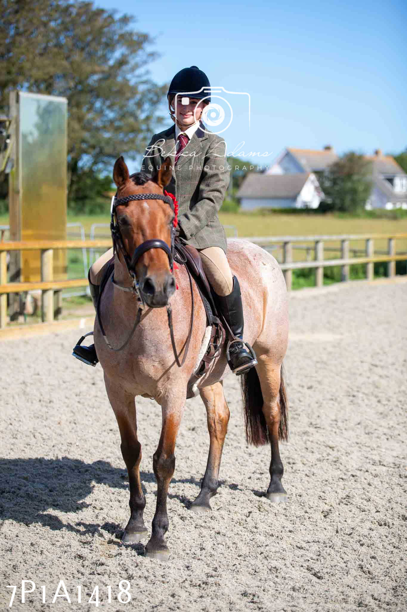 Home Farm Annual Show -Ridden Showing 20th August 2023