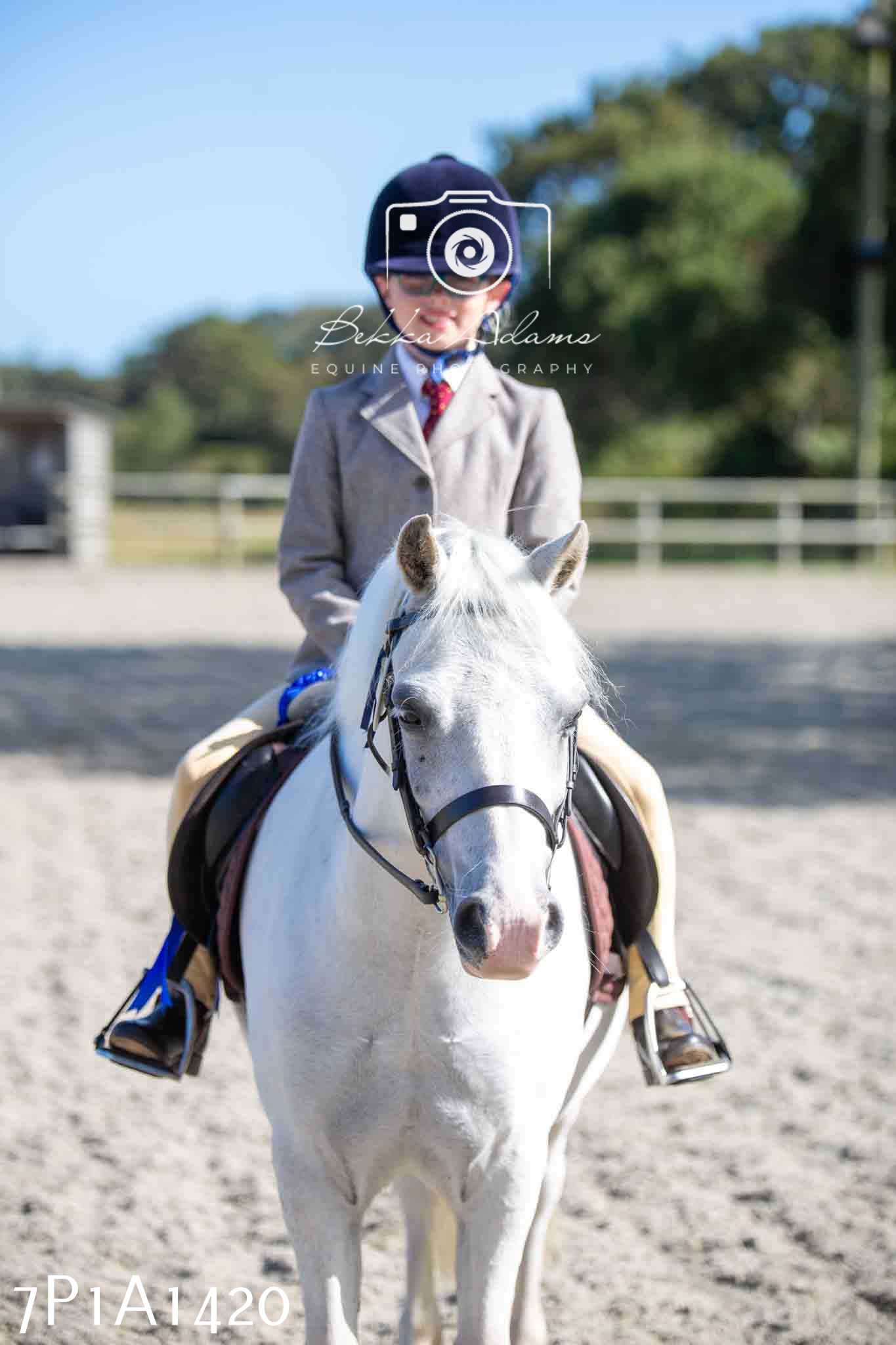 Home Farm Annual Show -Ridden Showing 20th August 2023