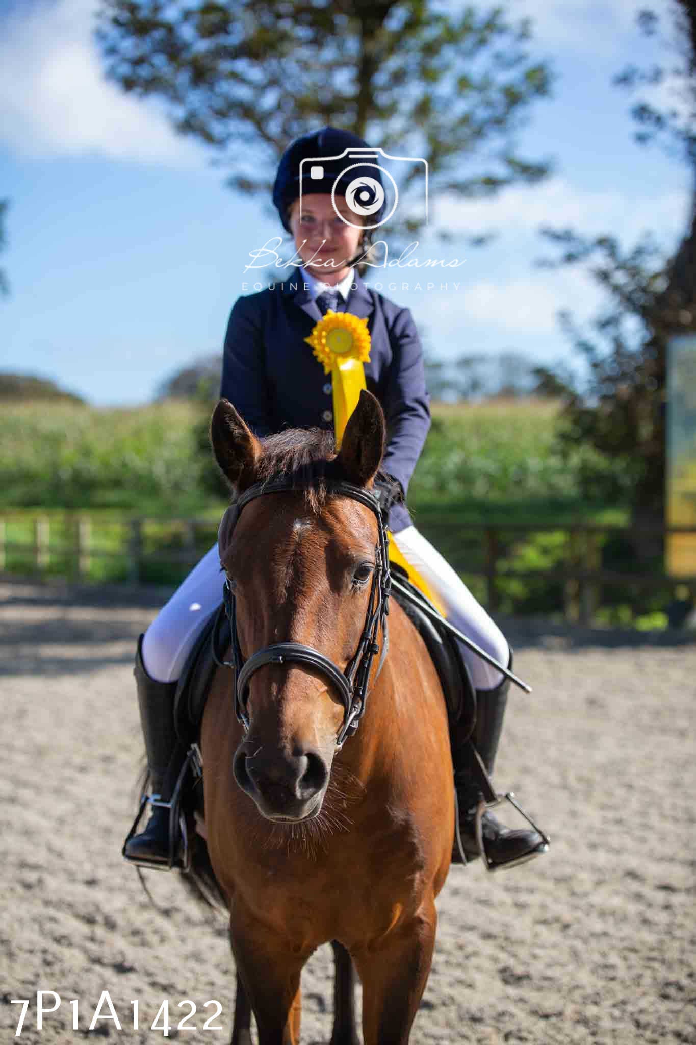 Home Farm Annual Show -Ridden Showing 20th August 2023