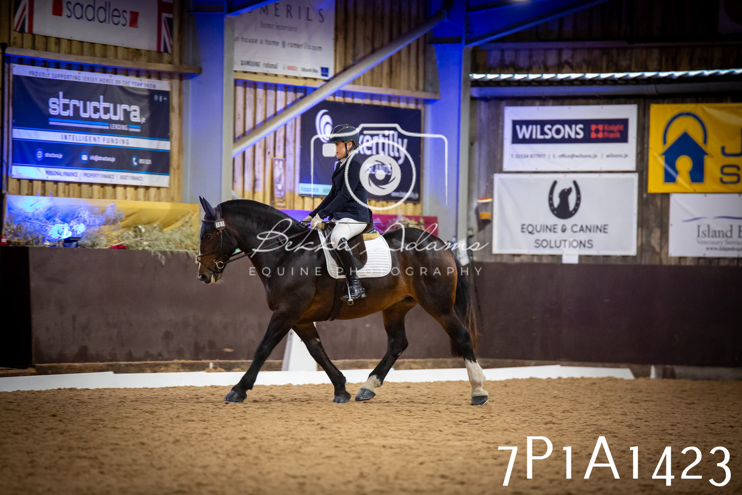 JHOYS 2025 - Dressage - 14th September pt2