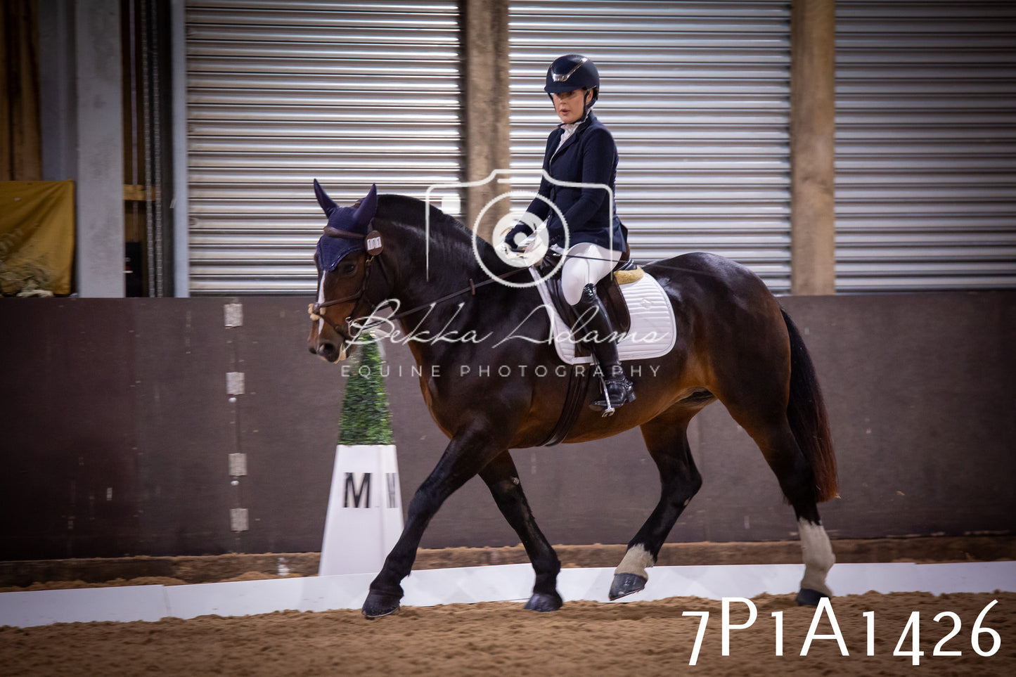 JHOYS 2025 - Dressage - 14th September pt2