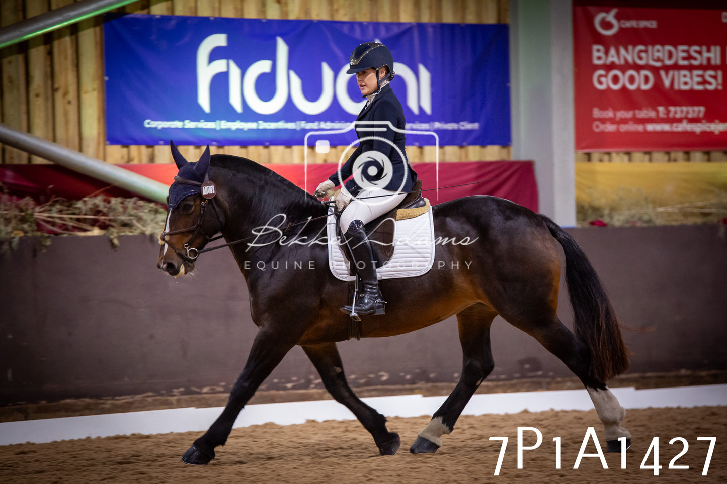 JHOYS 2025 - Dressage - 14th September pt2