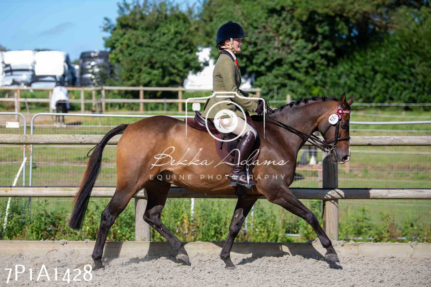 Home Farm Annual Show -Ridden Showing 20th August 2023