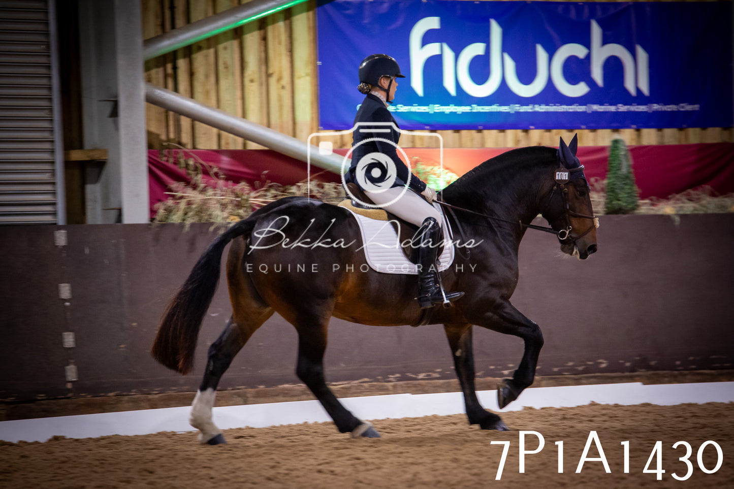 JHOYS 2025 - Dressage - 14th September pt2