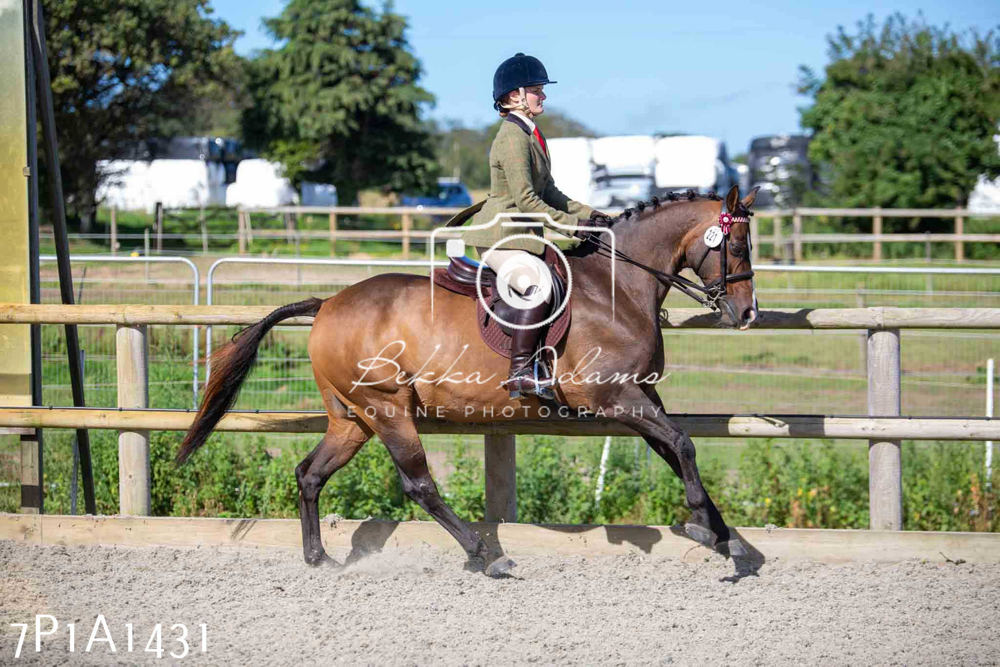 Home Farm Annual Show -Ridden Showing 20th August 2023