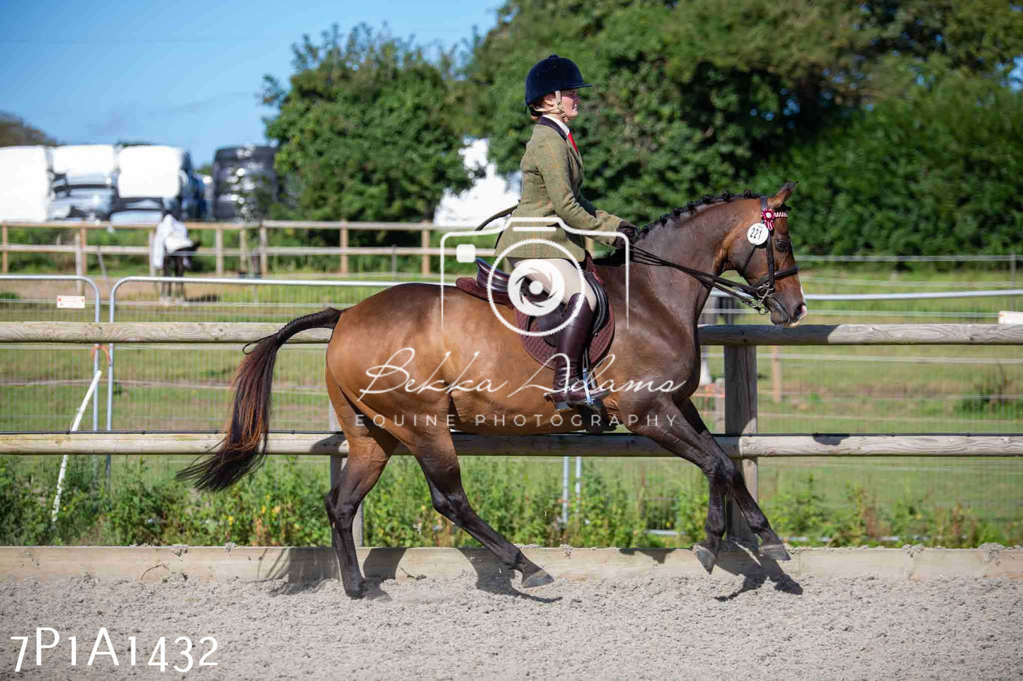 Home Farm Annual Show -Ridden Showing 20th August 2023