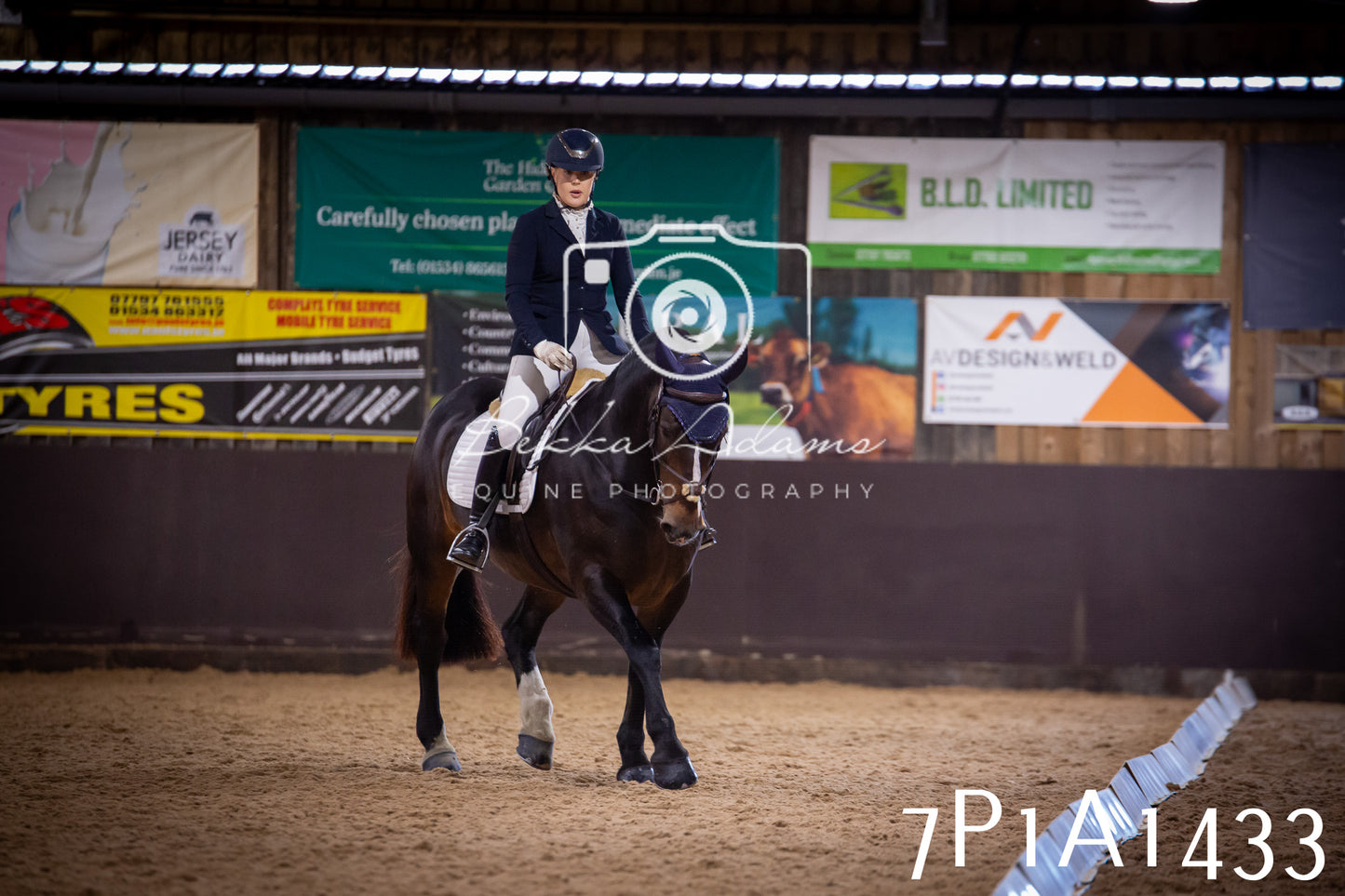 JHOYS 2025 - Dressage - 14th September pt2