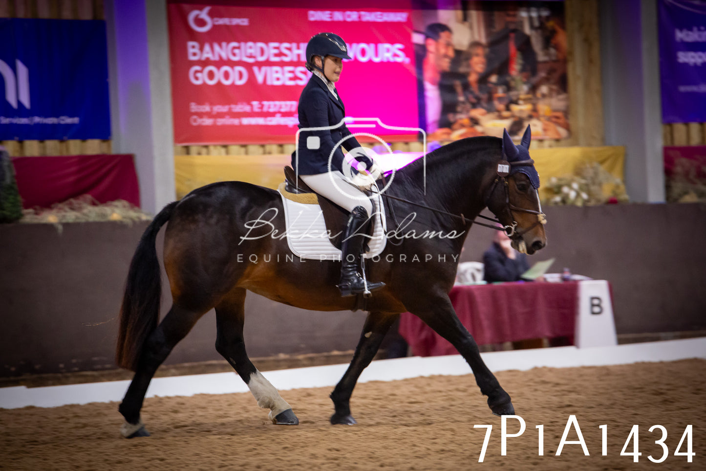 JHOYS 2025 - Dressage - 14th September pt2
