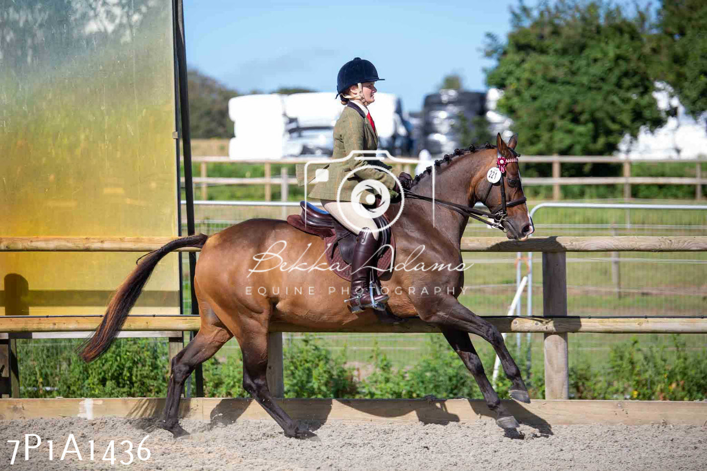 Home Farm Annual Show -Ridden Showing 20th August 2023