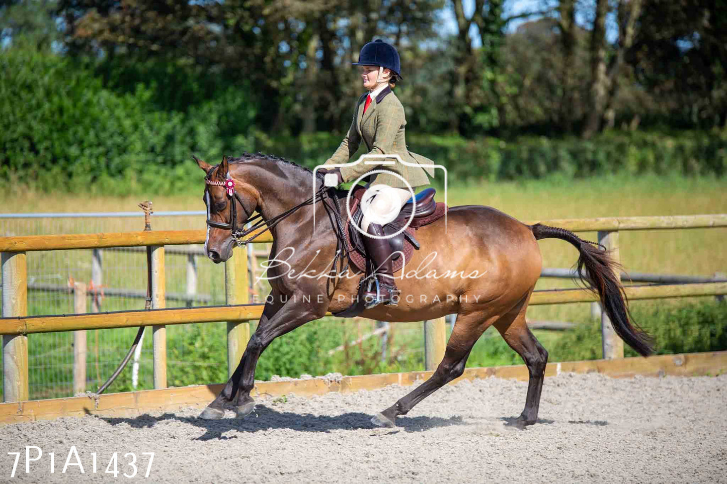 Home Farm Annual Show -Ridden Showing 20th August 2023