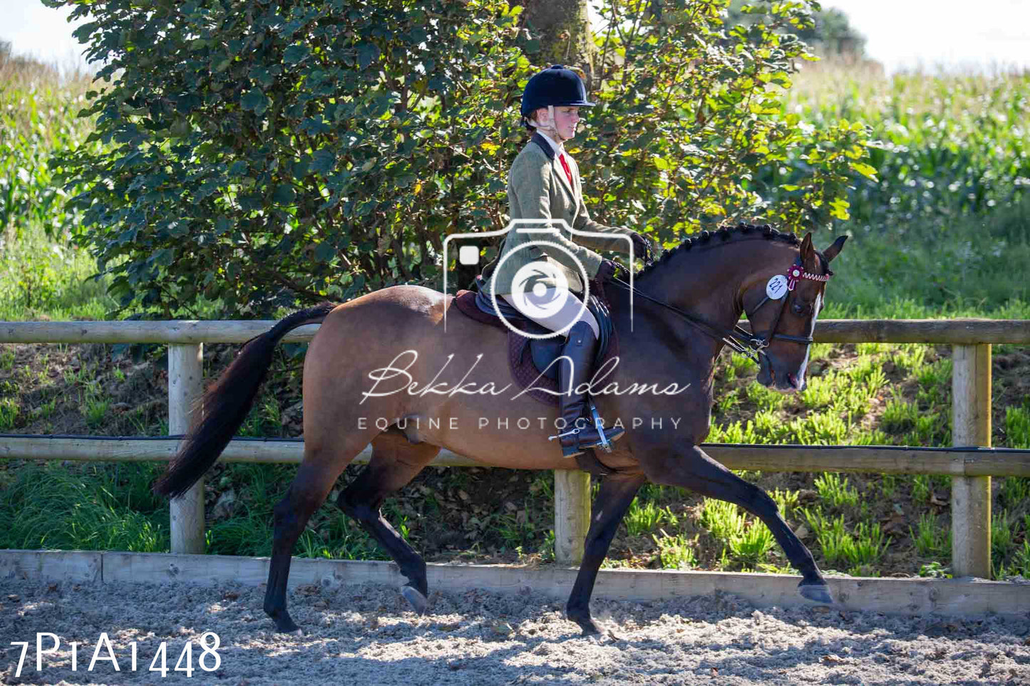Home Farm Annual Show -Ridden Showing 20th August 2023