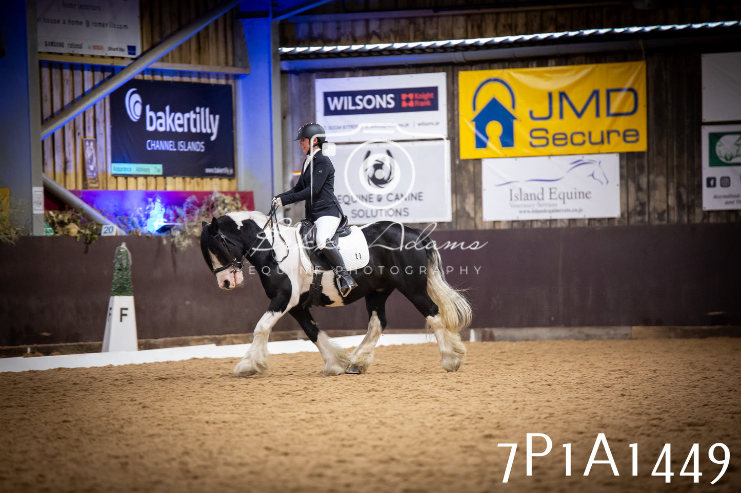 JHOYS 2025 - Dressage - 14th September pt2