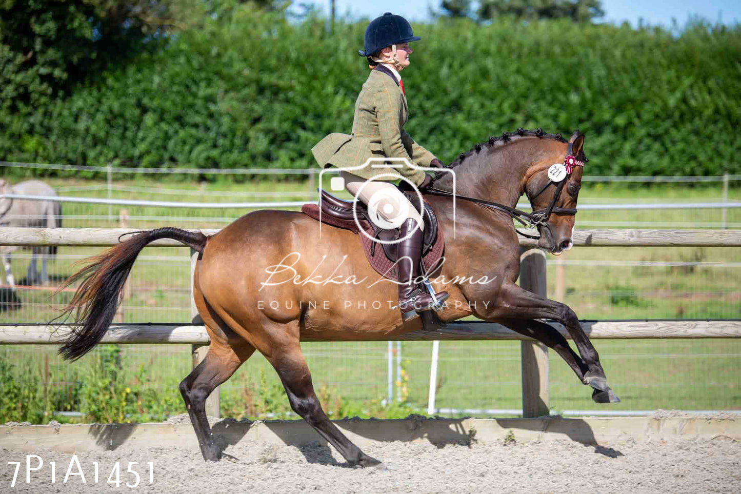 Home Farm Annual Show -Ridden Showing 20th August 2023