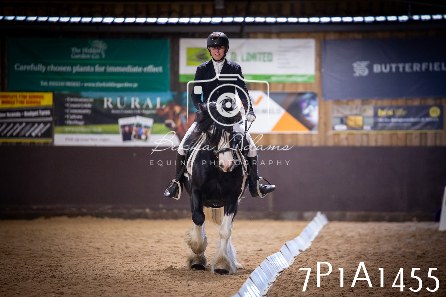 JHOYS 2025 - Dressage - 14th September pt2
