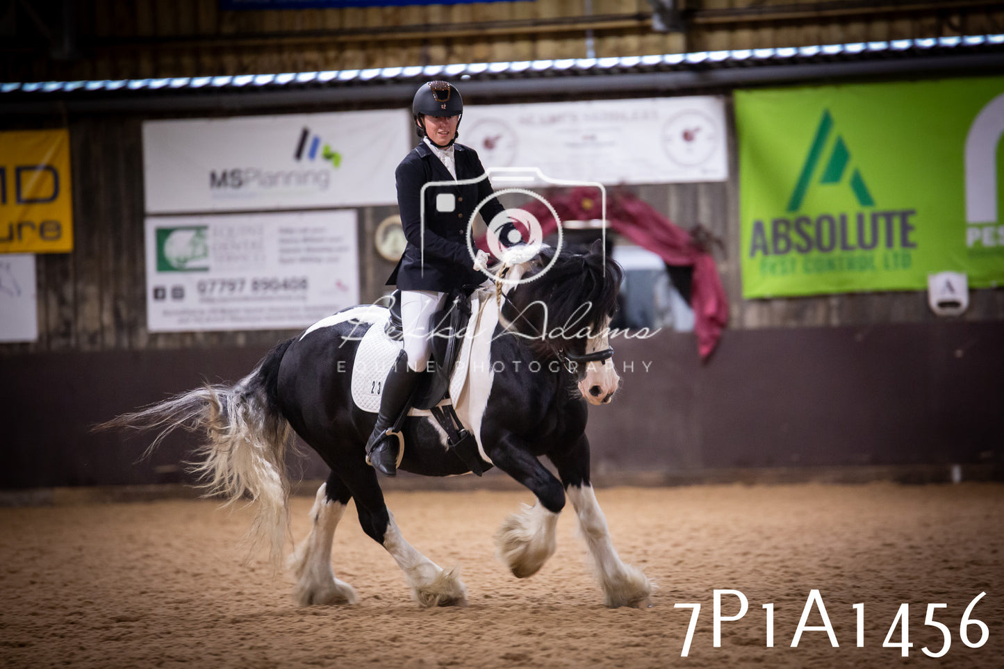 JHOYS 2025 - Dressage - 14th September pt2