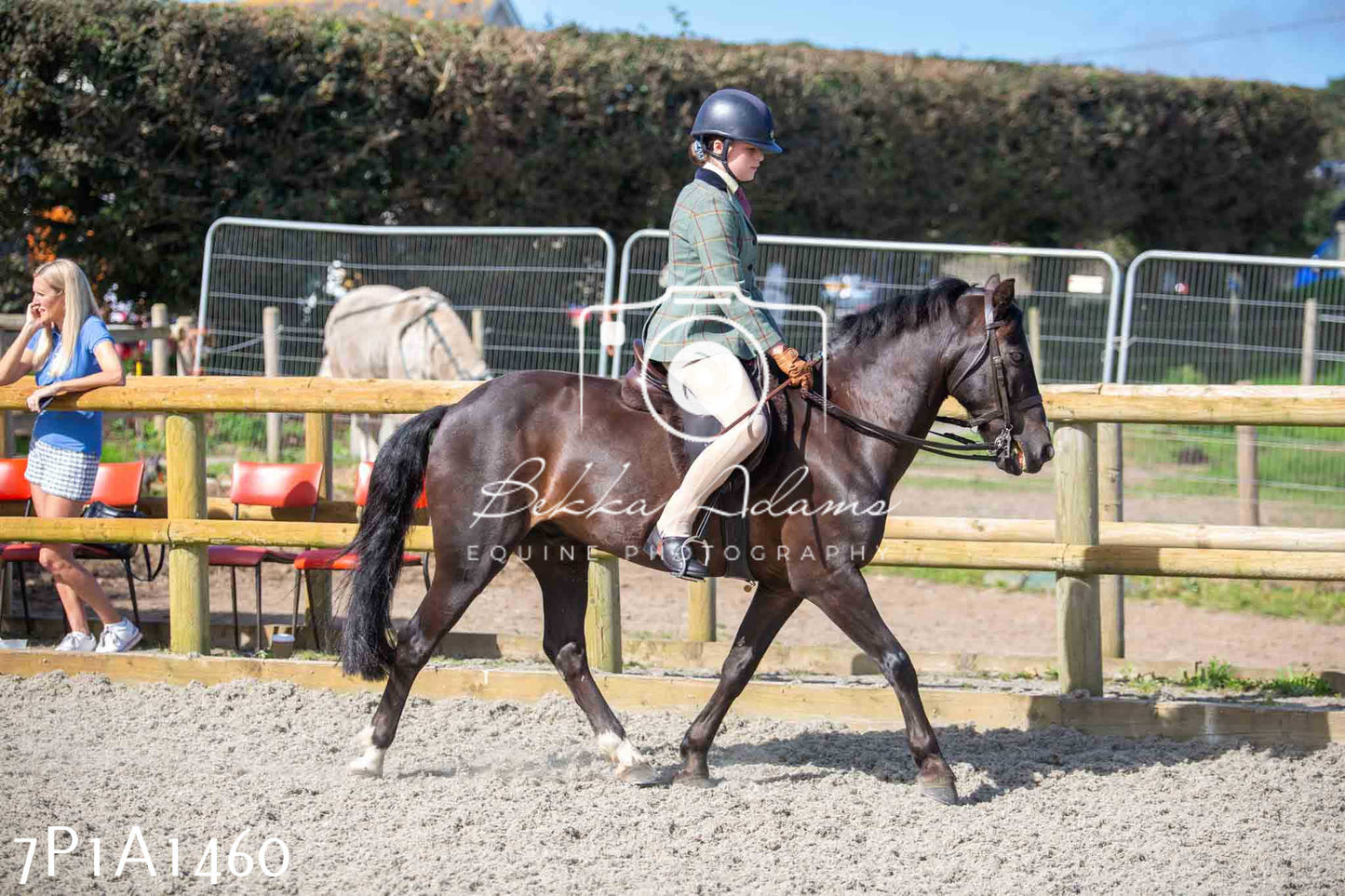 Home Farm Annual Show -Ridden Showing 20th August 2023