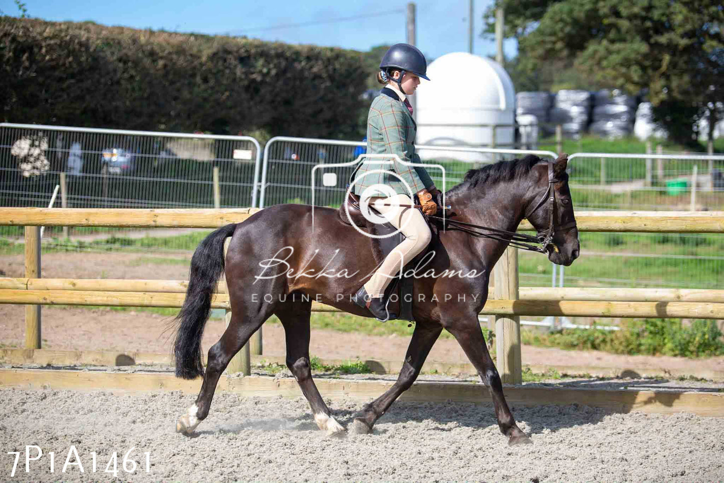 Home Farm Annual Show -Ridden Showing 20th August 2023