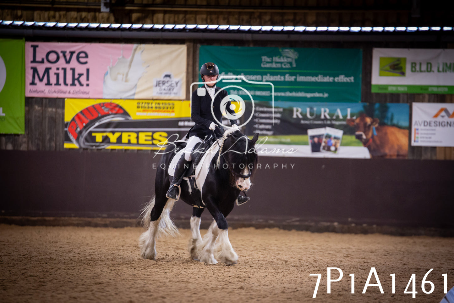 JHOYS 2025 - Dressage - 14th September pt2