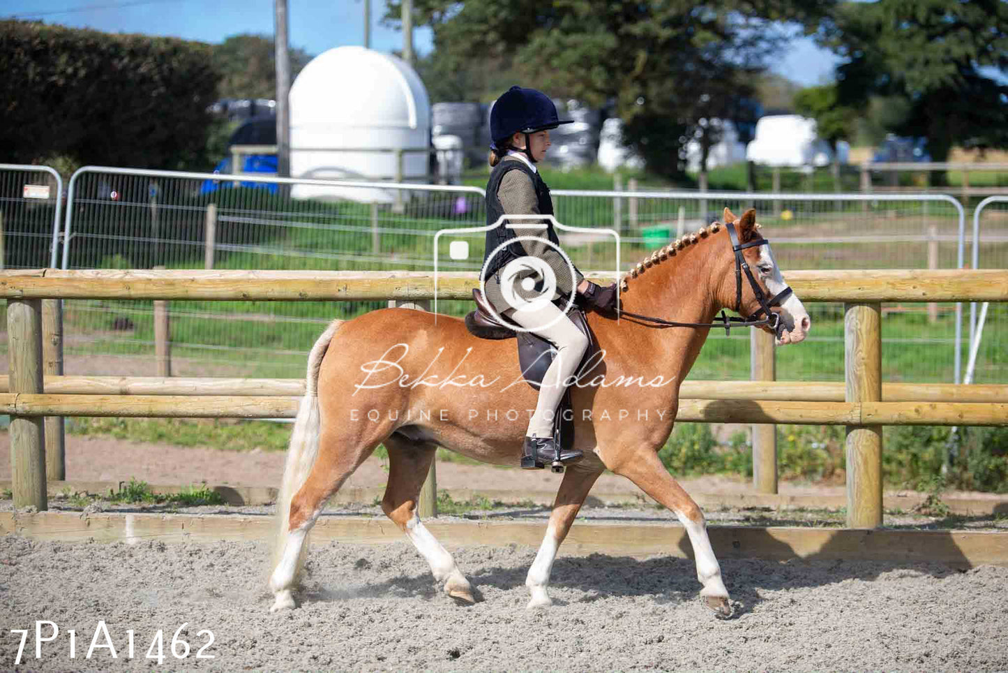Home Farm Annual Show -Ridden Showing 20th August 2023