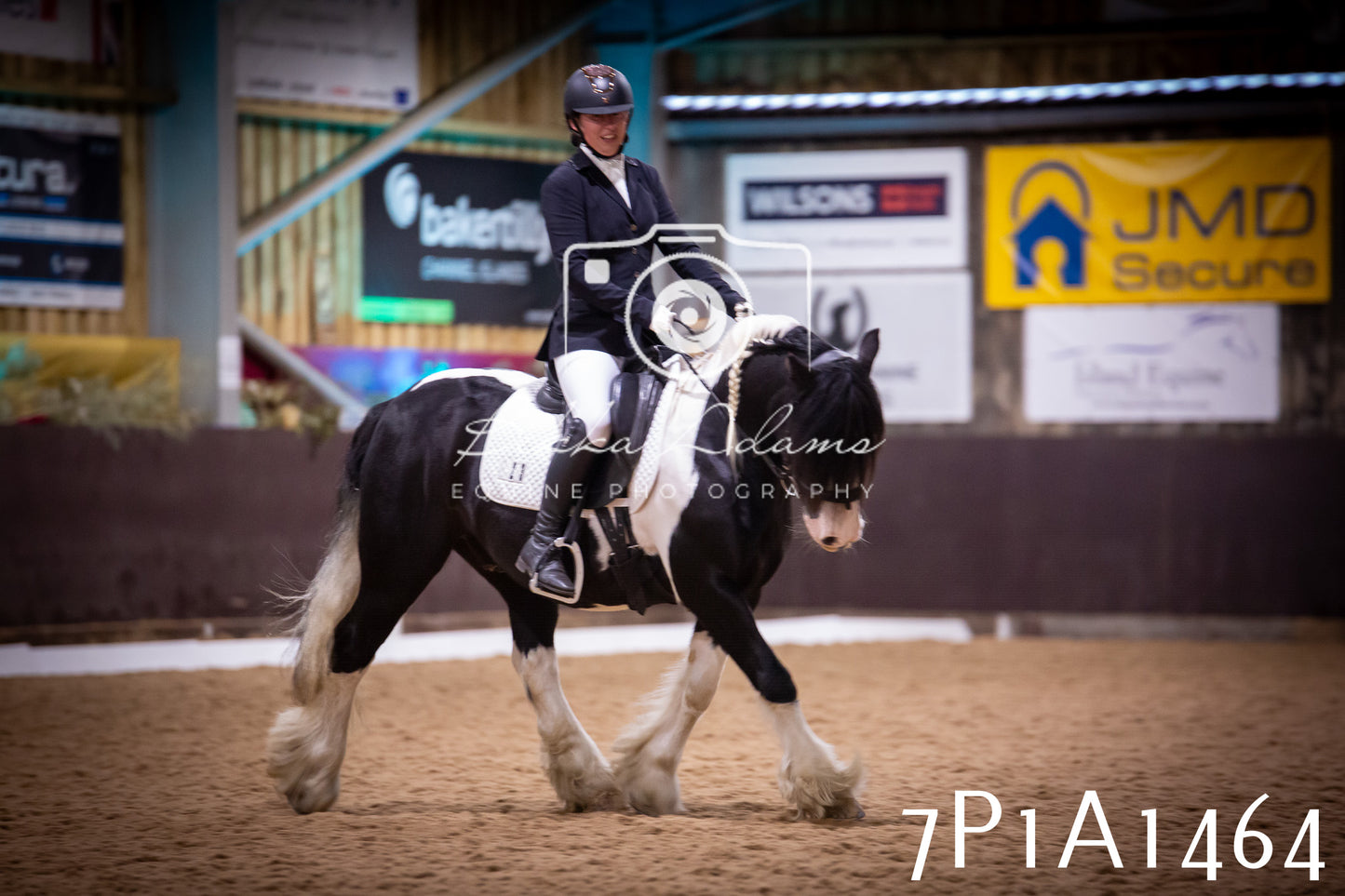 JHOYS 2025 - Dressage - 14th September pt2
