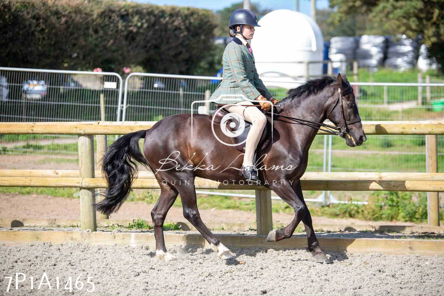 Home Farm Annual Show -Ridden Showing 20th August 2023