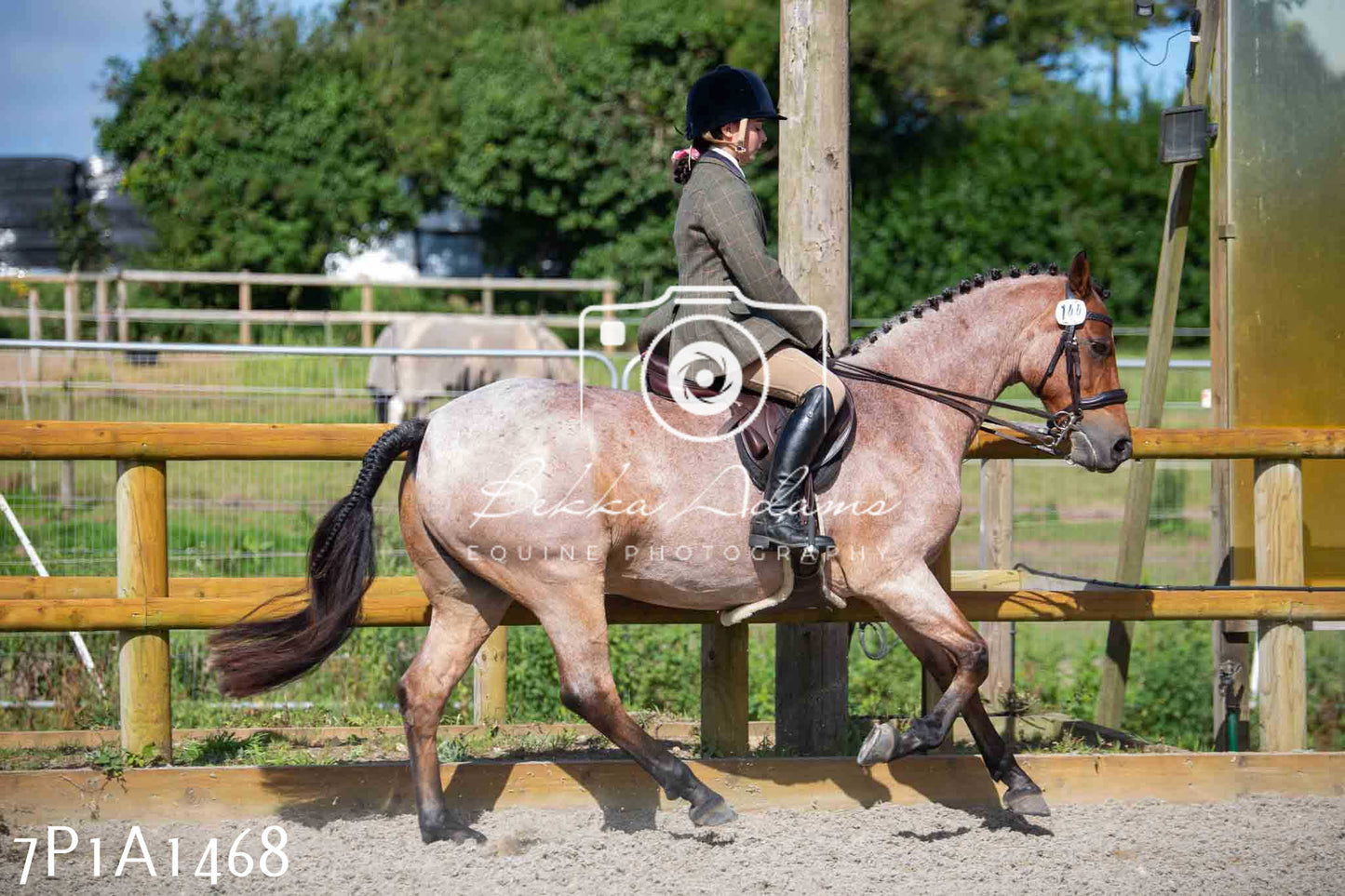 Home Farm Annual Show -Ridden Showing 20th August 2023