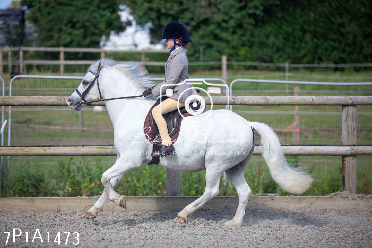 Home Farm Annual Show -Ridden Showing 20th August 2023