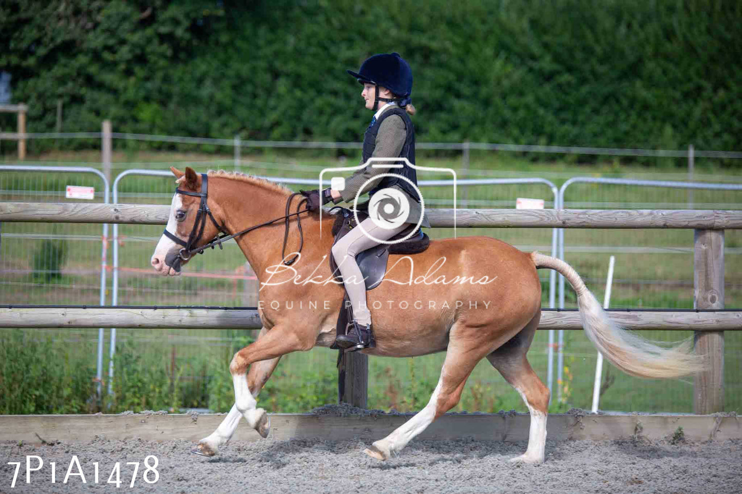 Home Farm Annual Show -Ridden Showing 20th August 2023