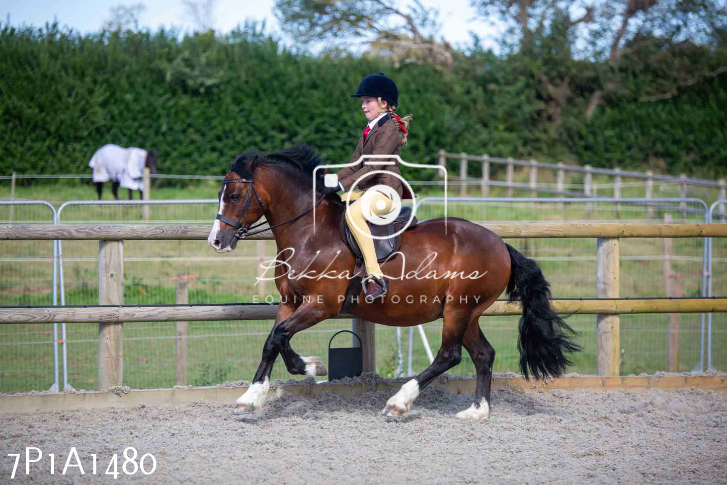 Home Farm Annual Show -Ridden Showing 20th August 2023
