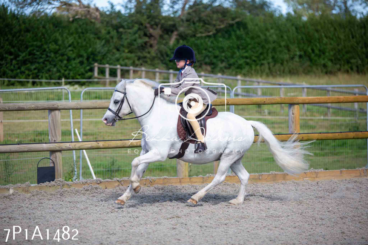 Home Farm Annual Show -Ridden Showing 20th August 2023