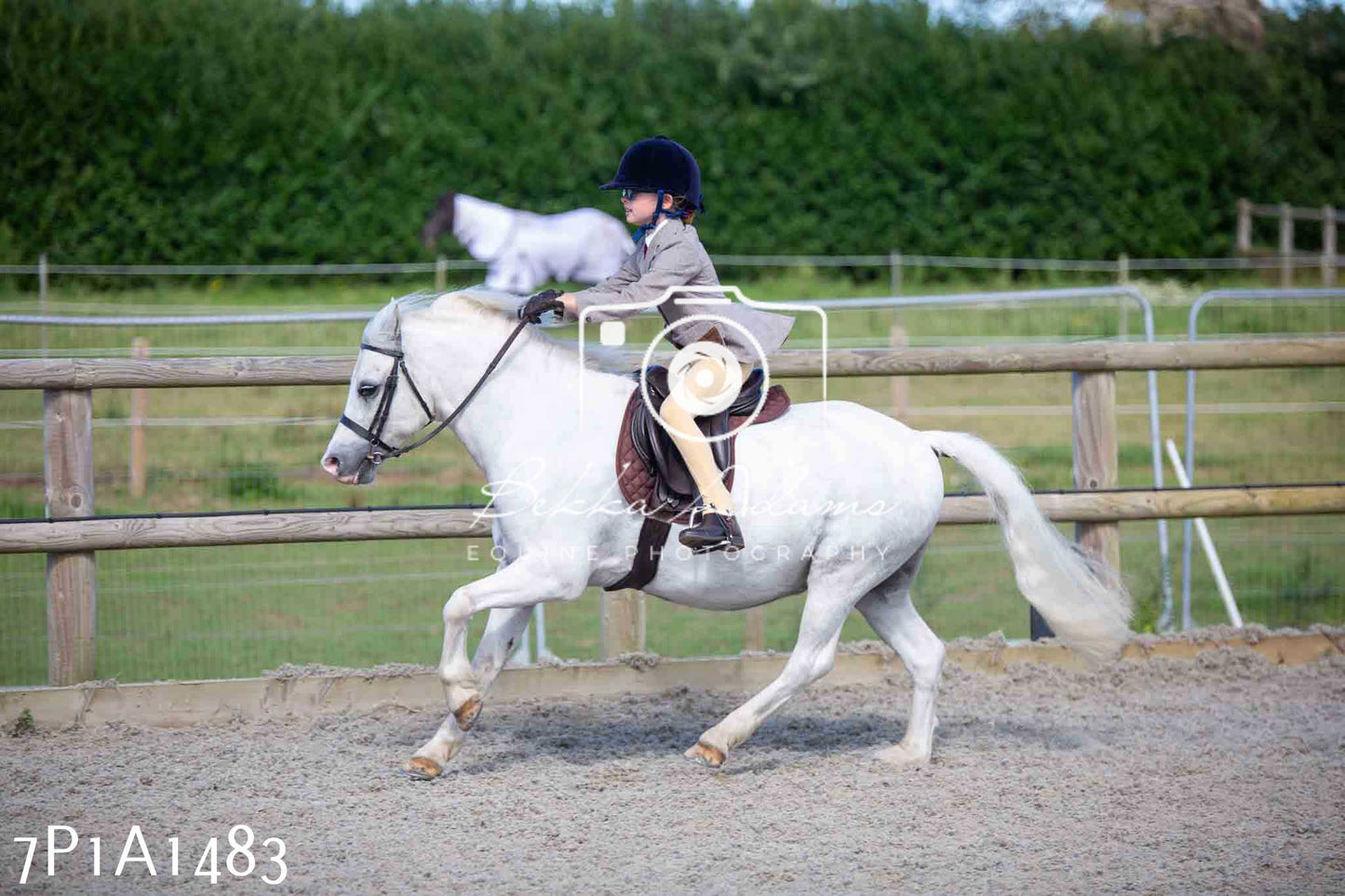 Home Farm Annual Show -Ridden Showing 20th August 2023