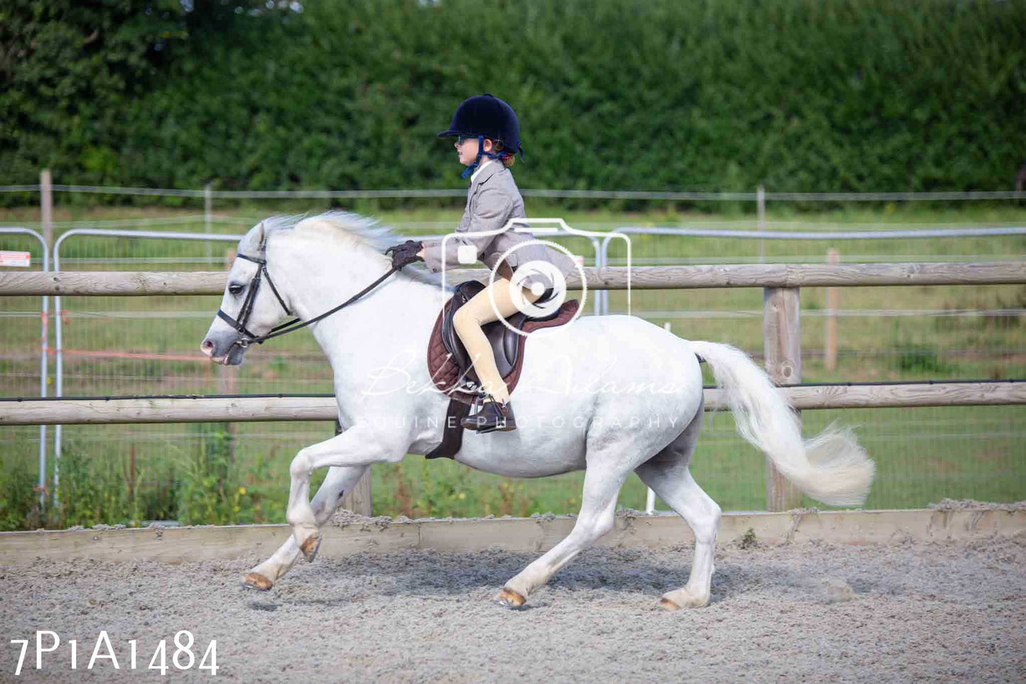 Home Farm Annual Show -Ridden Showing 20th August 2023