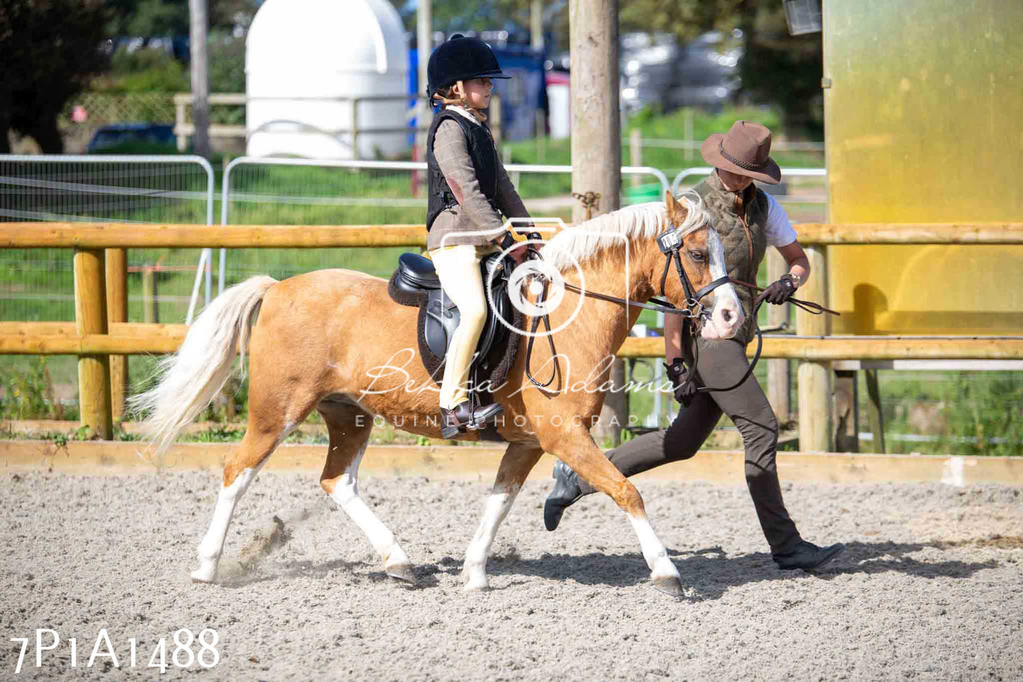 Home Farm Annual Show -Ridden Showing 20th August 2023