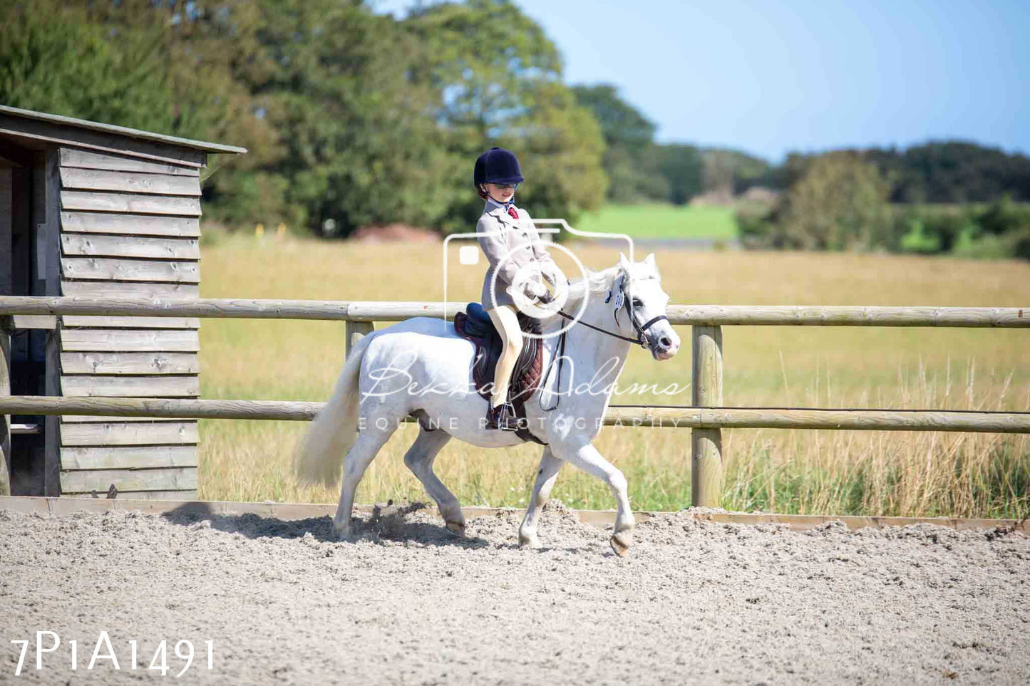 Home Farm Annual Show -Ridden Showing 20th August 2023