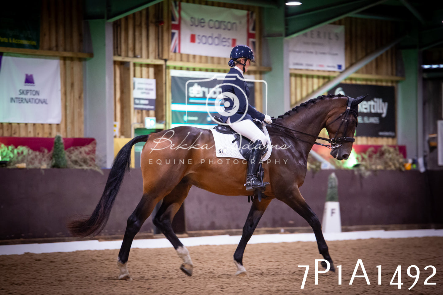 JHOYS 2025 - Dressage - 14th September pt2