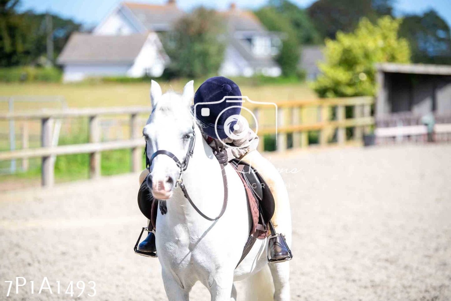 Home Farm Annual Show -Ridden Showing 20th August 2023