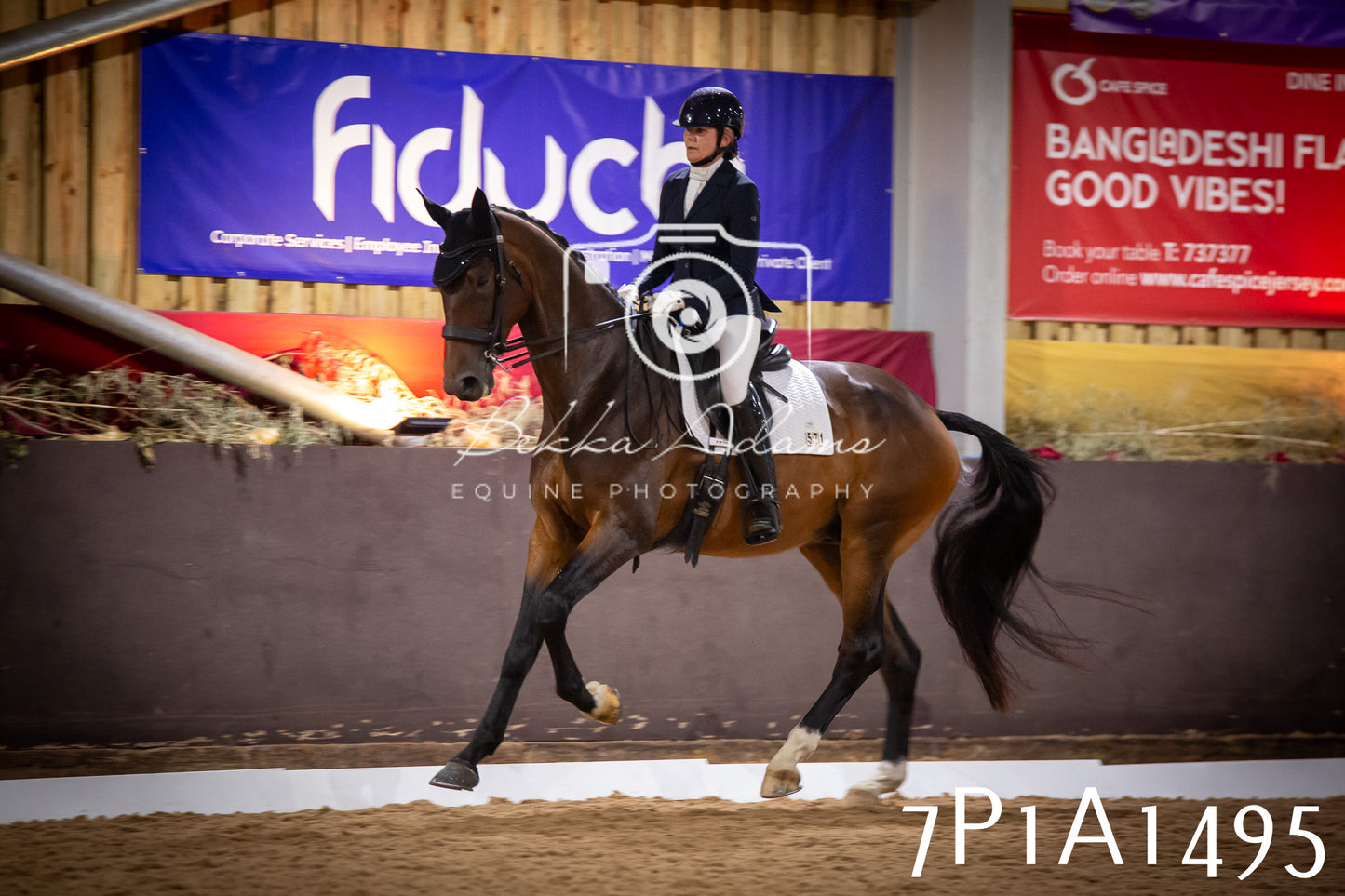 JHOYS 2025 - Dressage - 14th September pt2